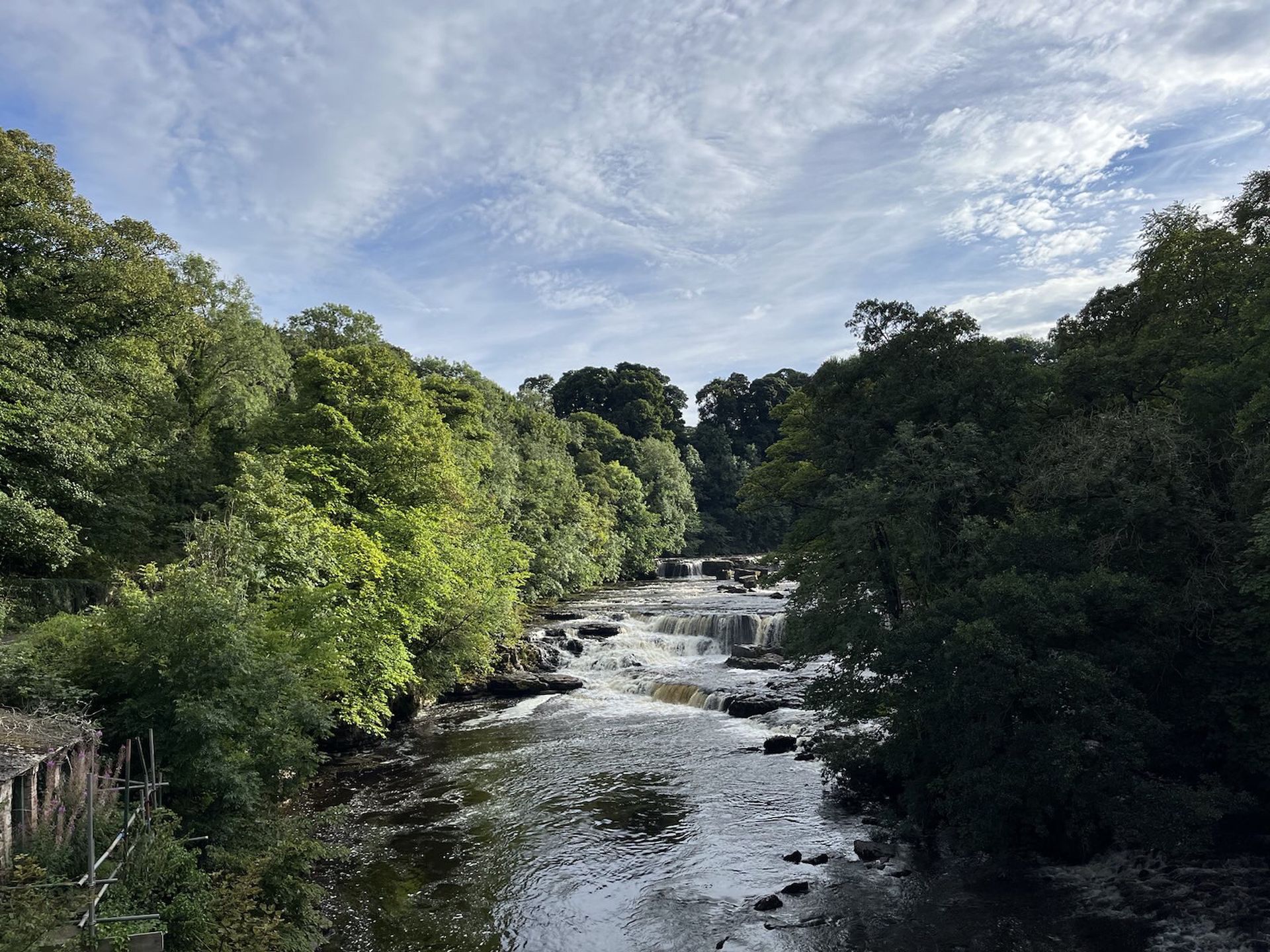 Calm river with gentle waterfalls surrounded by trees, representing clarity and trust